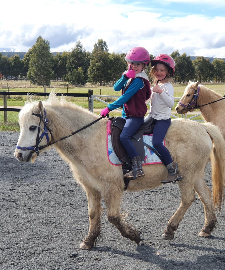 Riding school